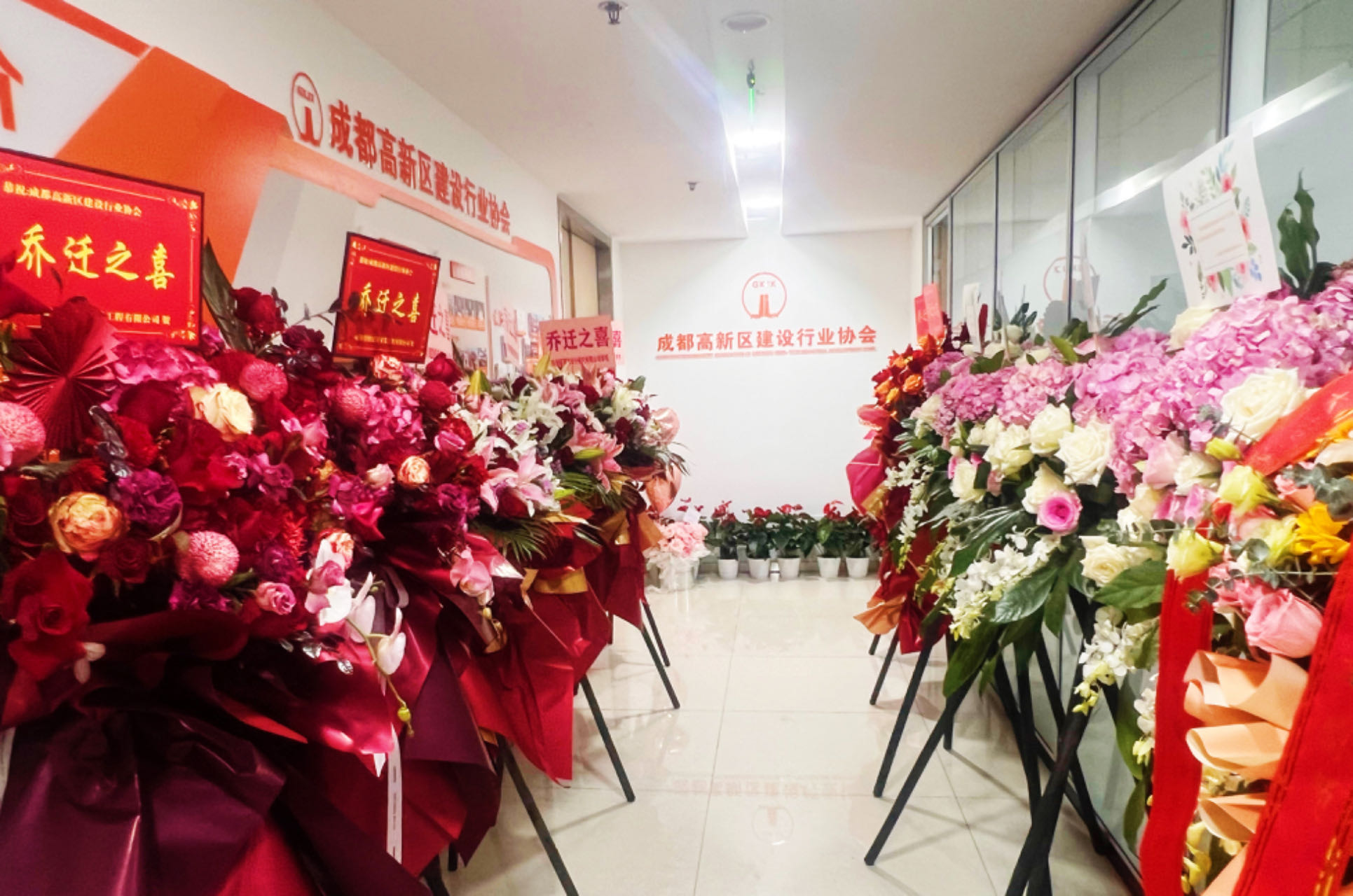新环境 新起点 新征程 | 协会乔迁新址